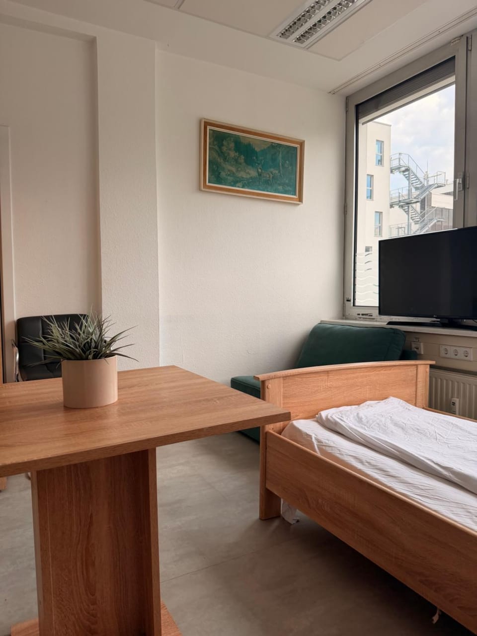 Photo of the whole room