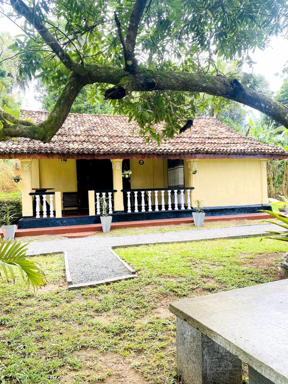Property building, Day, Garden, Garden view