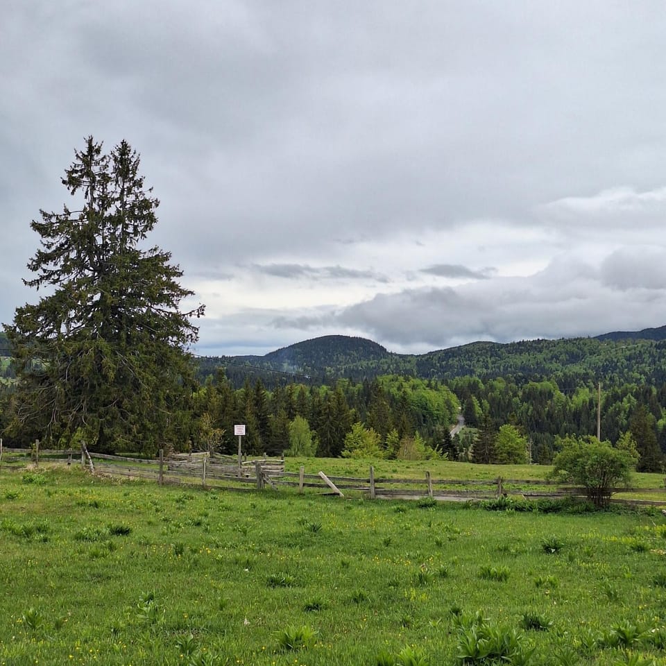 Natural landscape