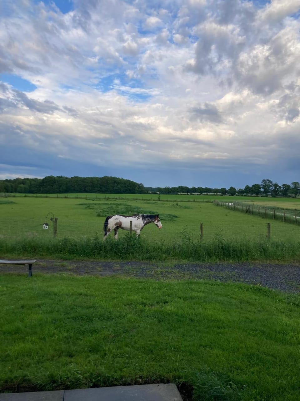 Property building, Natural landscape, Animals