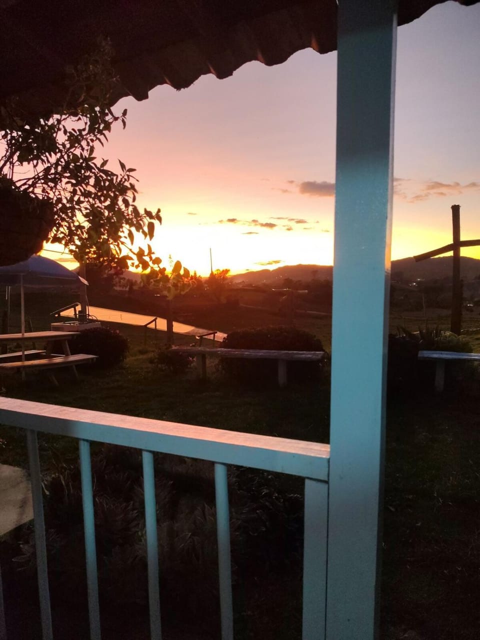 Garden, Sunset