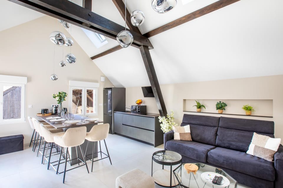 Gîte de Charme avec Spa - Design Moderne House in Colmar