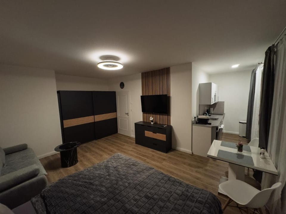 Bed, TV and multimedia, Kitchen or kitchenette, Living room, Photo of the whole room, Seating area, Dining area, Bedroom