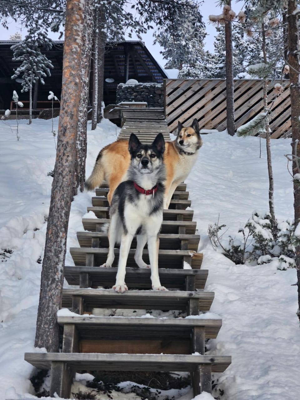 The Lakeview Cabin Cabin in Norrbotten County, Sweden