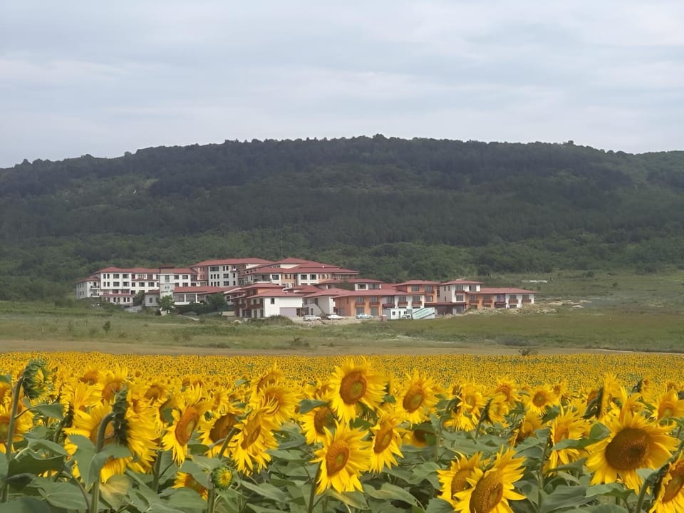Harmony Hills Tomovi Apartament F34 Apartment in Varna Province