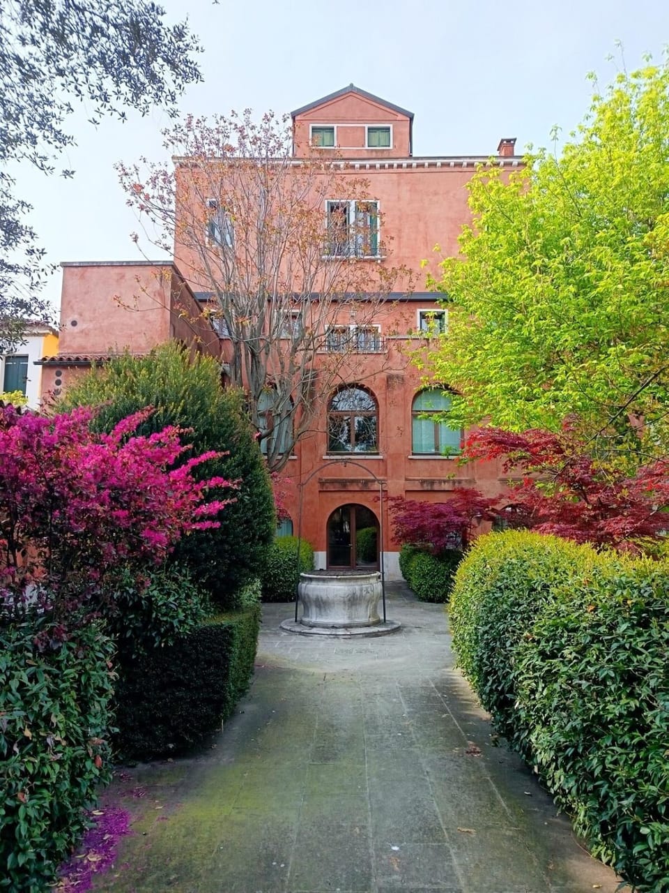 Garden view