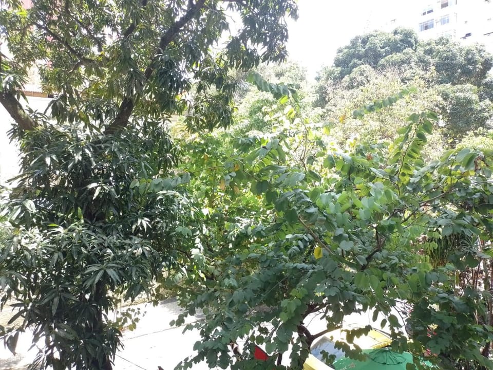 Apartamento Flamengo Apartment in Rio de Janeiro