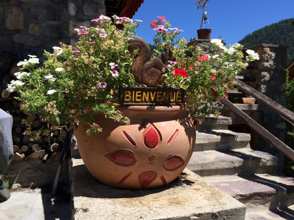 Patio, Decorative detail