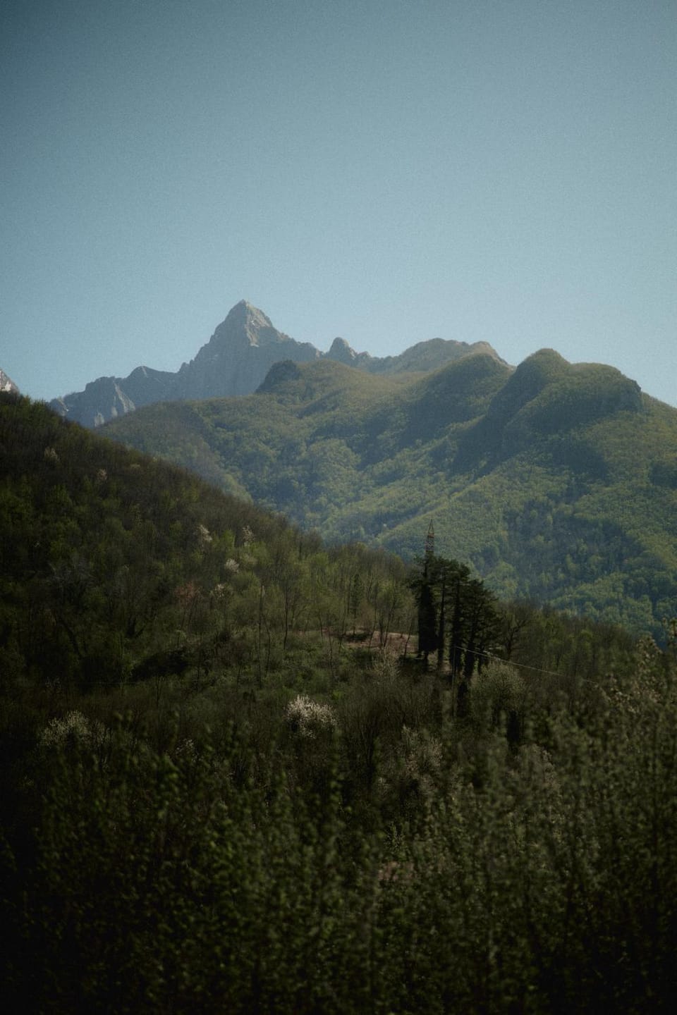 Le Case di Rosie, Tuscan Mountain View House, Pool Apartment in Province of Massa and Carrara