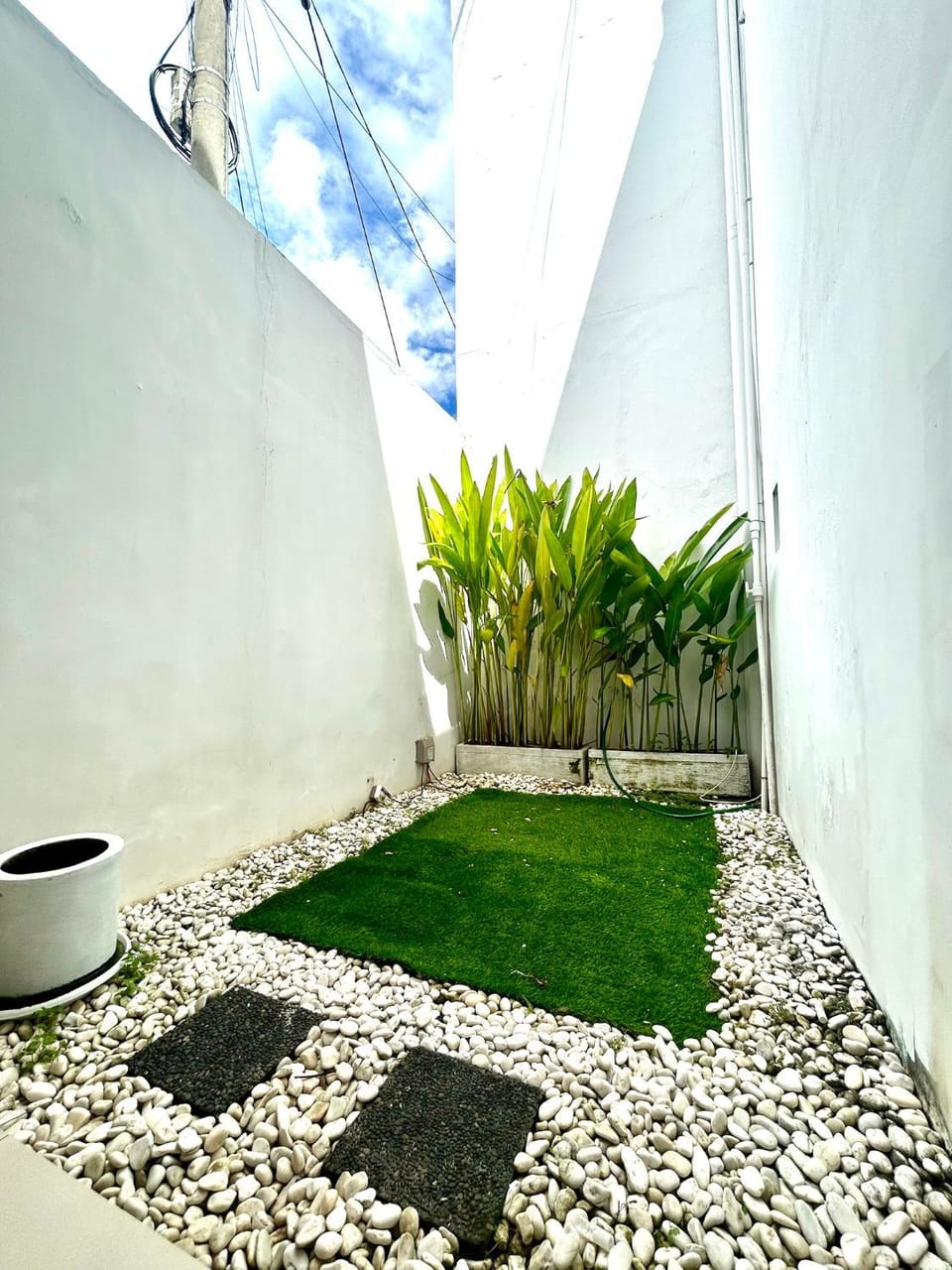 Garden view