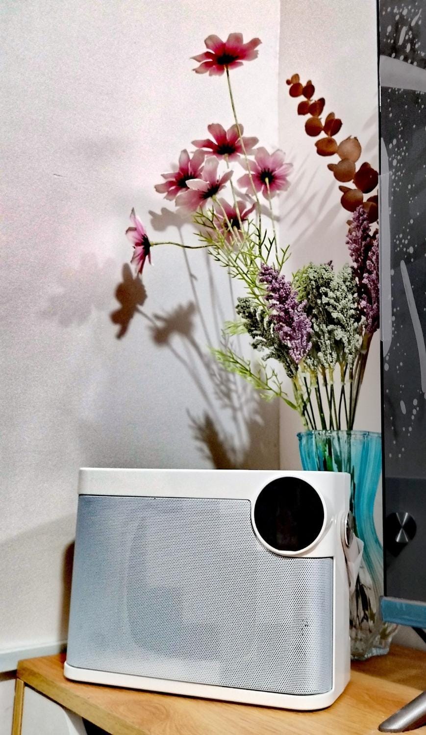 TV and multimedia