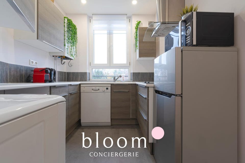 Le Fabuleux de Deroulede Apartment in Nancy
