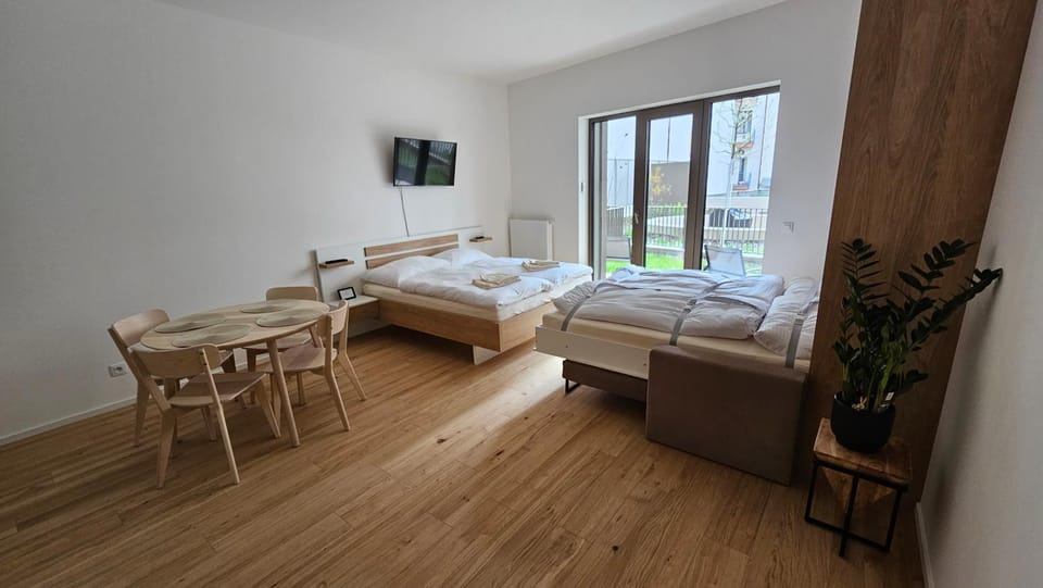 Apartmán u Karla Apartment in Brno