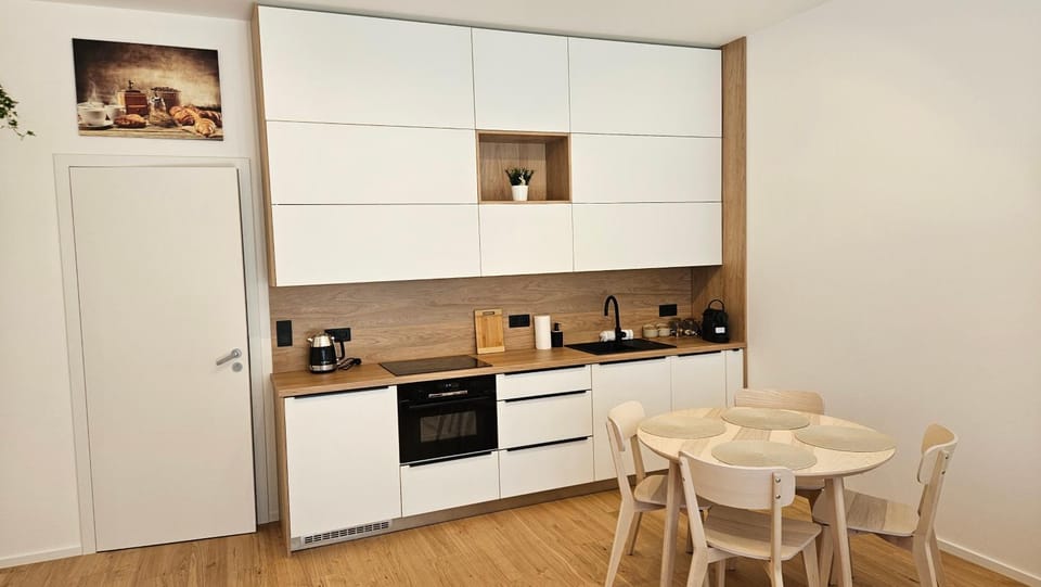 Apartmán u Karla Apartment in Brno