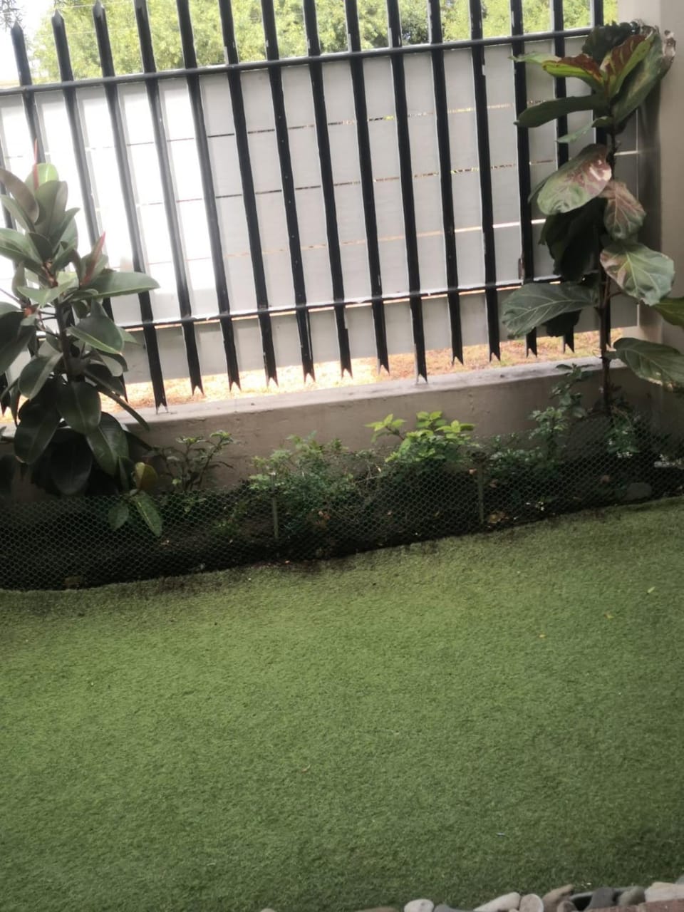 Garden view
