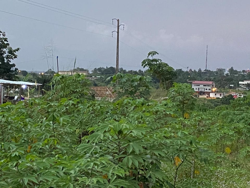 Natural landscape