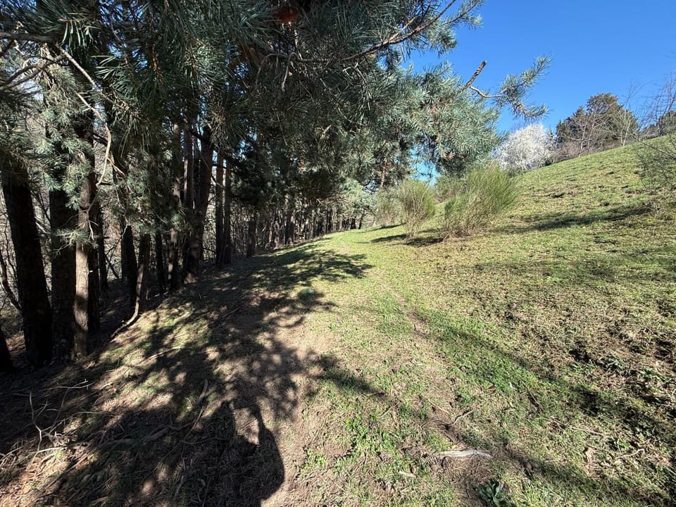 Maison de charme avec studio indépendant House in Provence-Alpes-Côte d'Azur