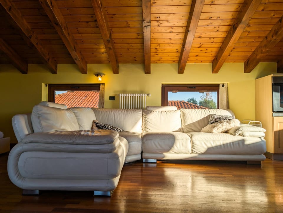 Living room, Photo of the whole room, Time of day