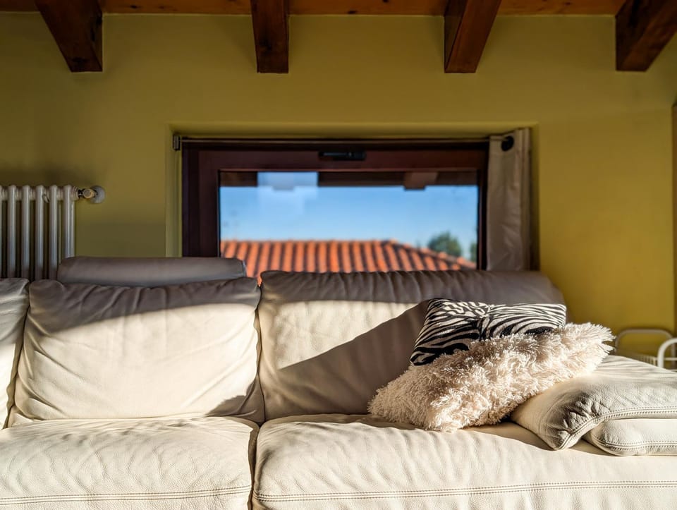 Day, View (from property/room), Living room, Decorative detail, Time of day
