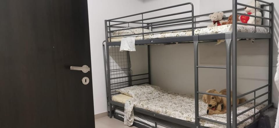 Bed, Photo of the whole room, Bedroom, bunk bed, furniture