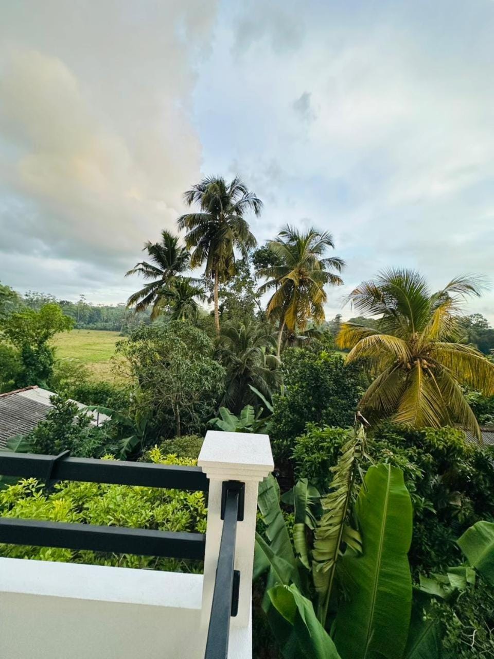 Blue Lotus Villa & Spice Garden Bed and Breakfast in Southern Province