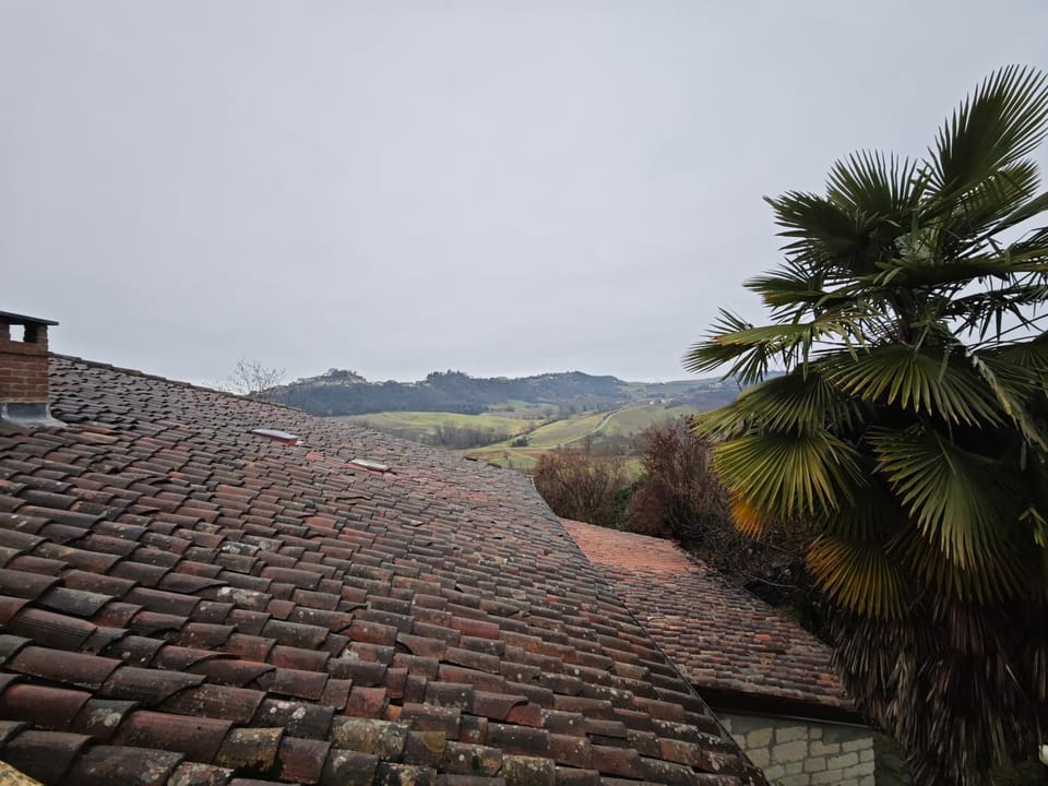 Natural landscape