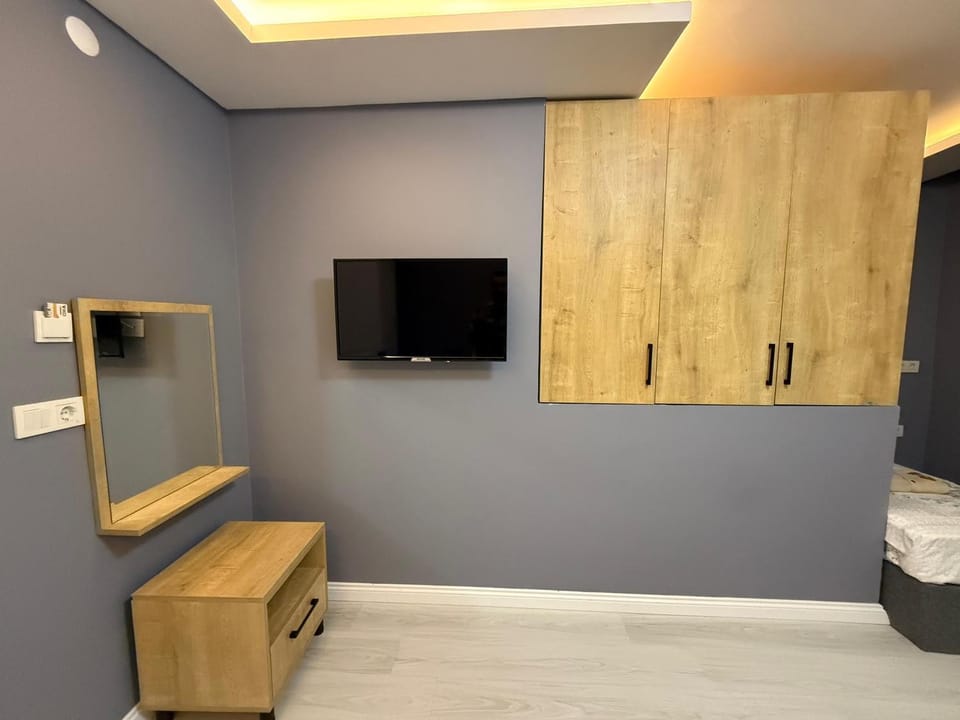 TV and multimedia