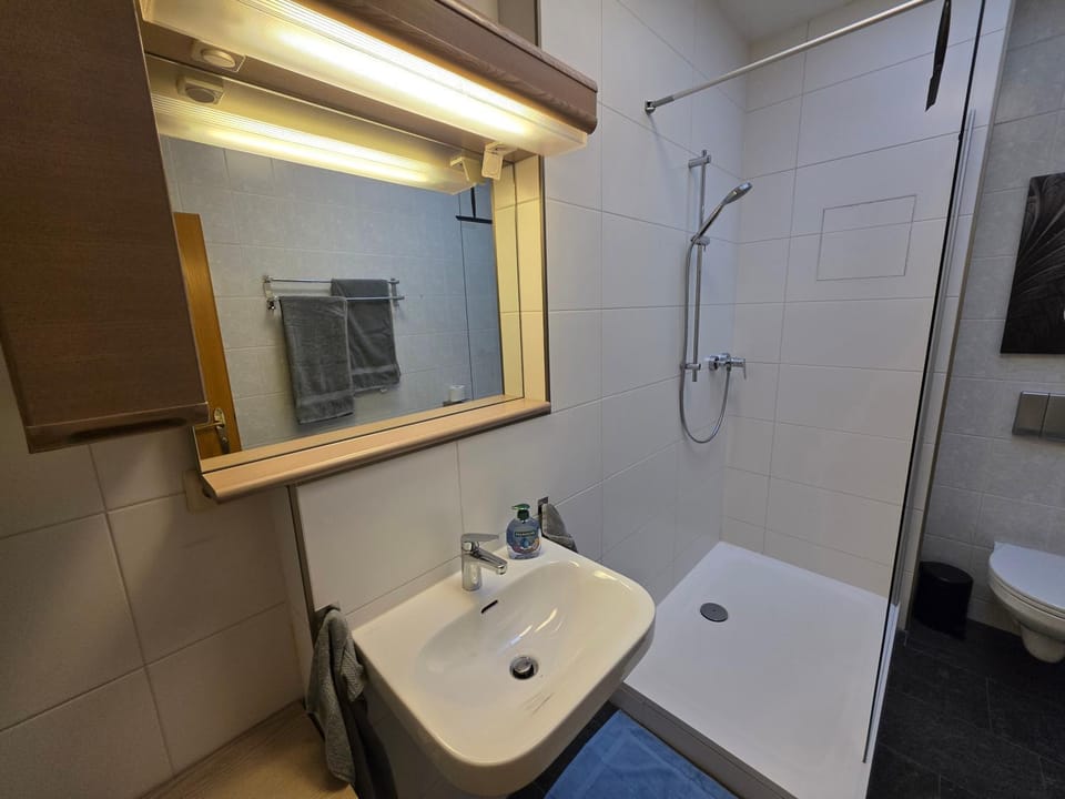 Shower, Toilet, Bathroom, towels