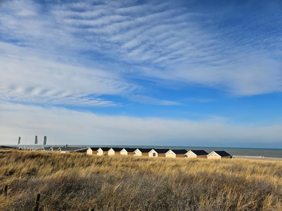 Beach, Beach, Area and facilities