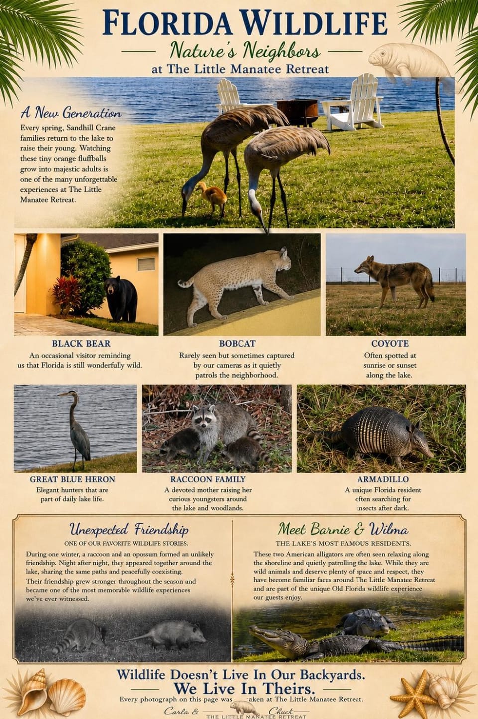 The little Manatee Retreat Bed and Breakfast in Apopka