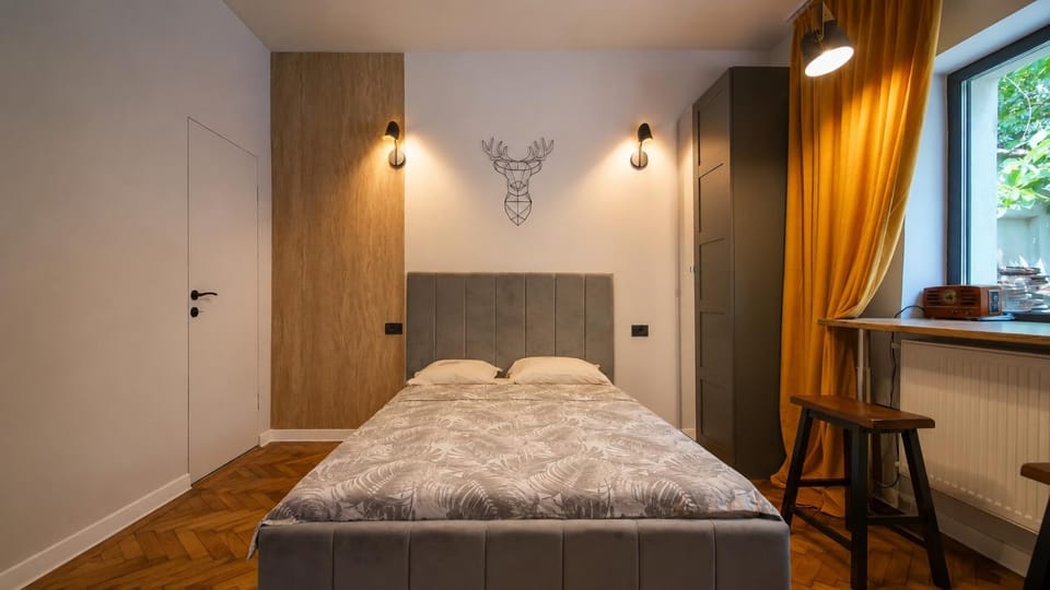 Hidden Nest Apartment in Brasov