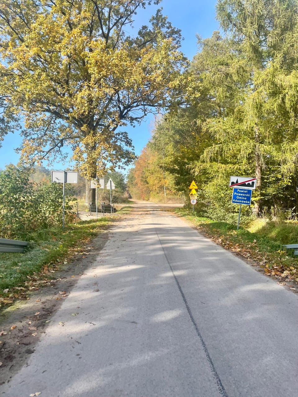Spring, Day, Neighbourhood, Natural landscape, Street view