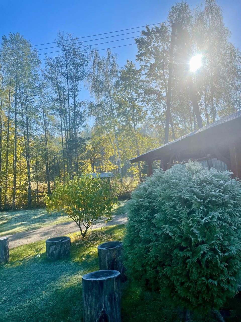 Spring, Day, Natural landscape, Garden, Garden view
