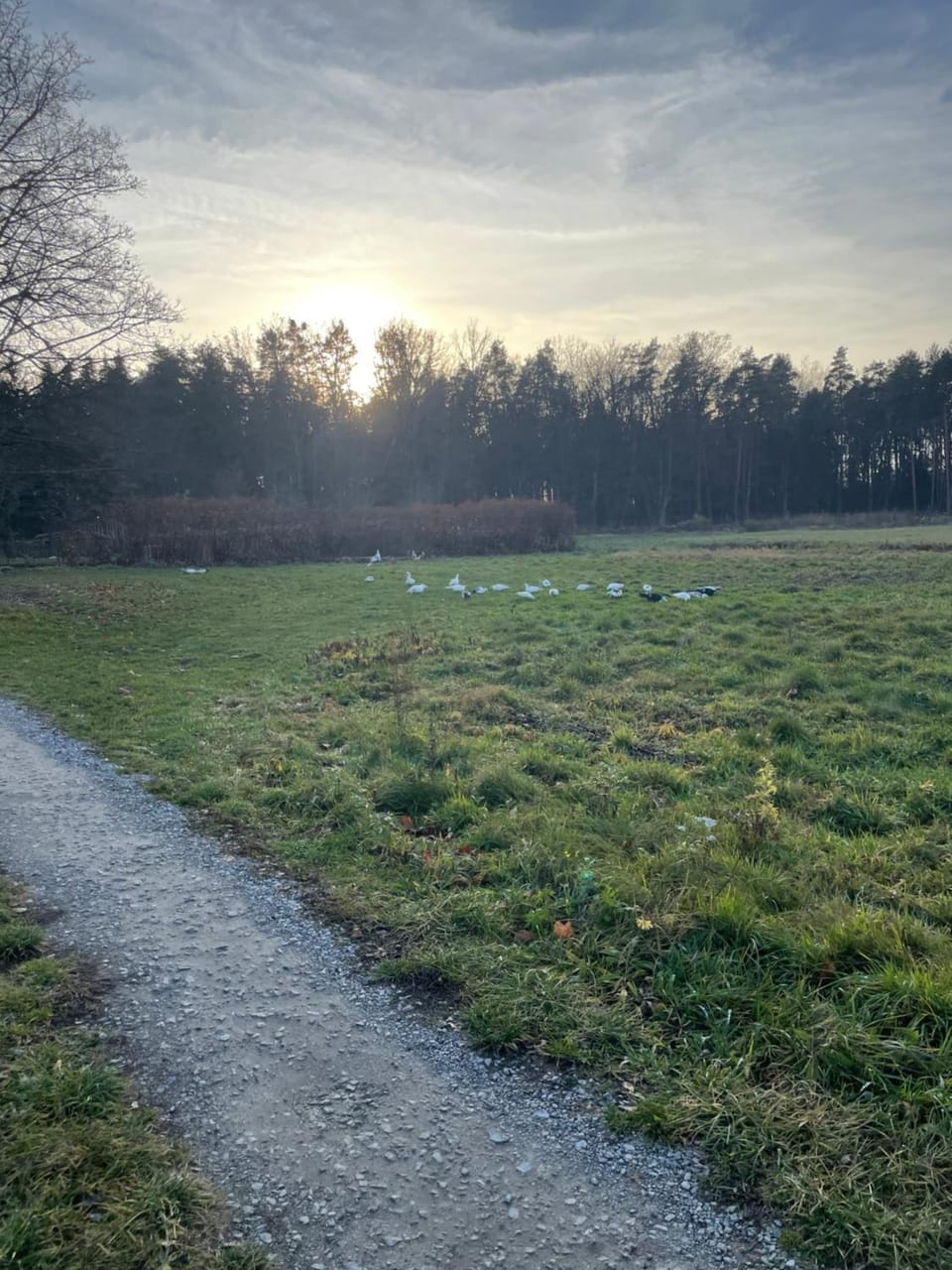 Spring, Day, Natural landscape