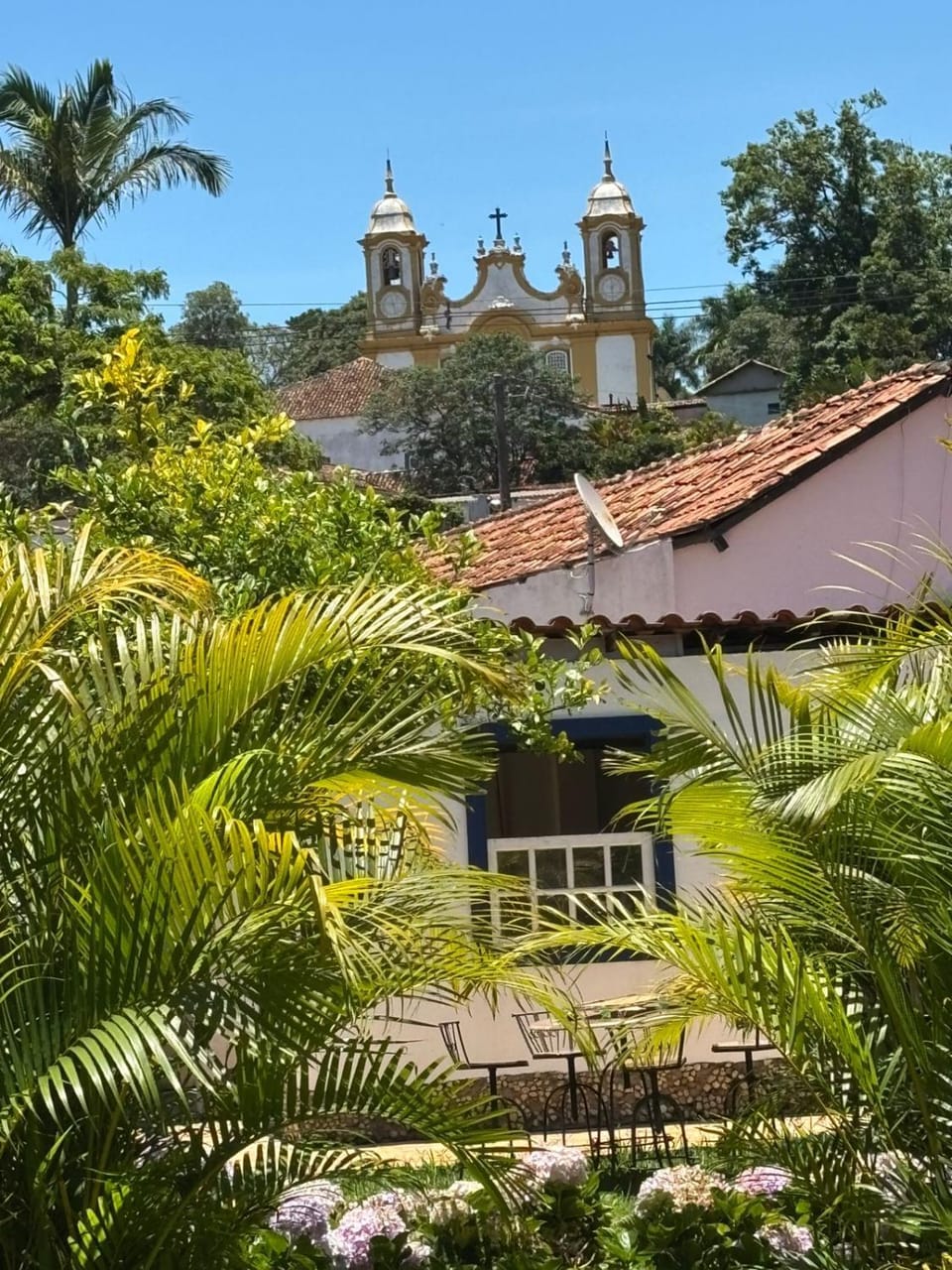 Garden view