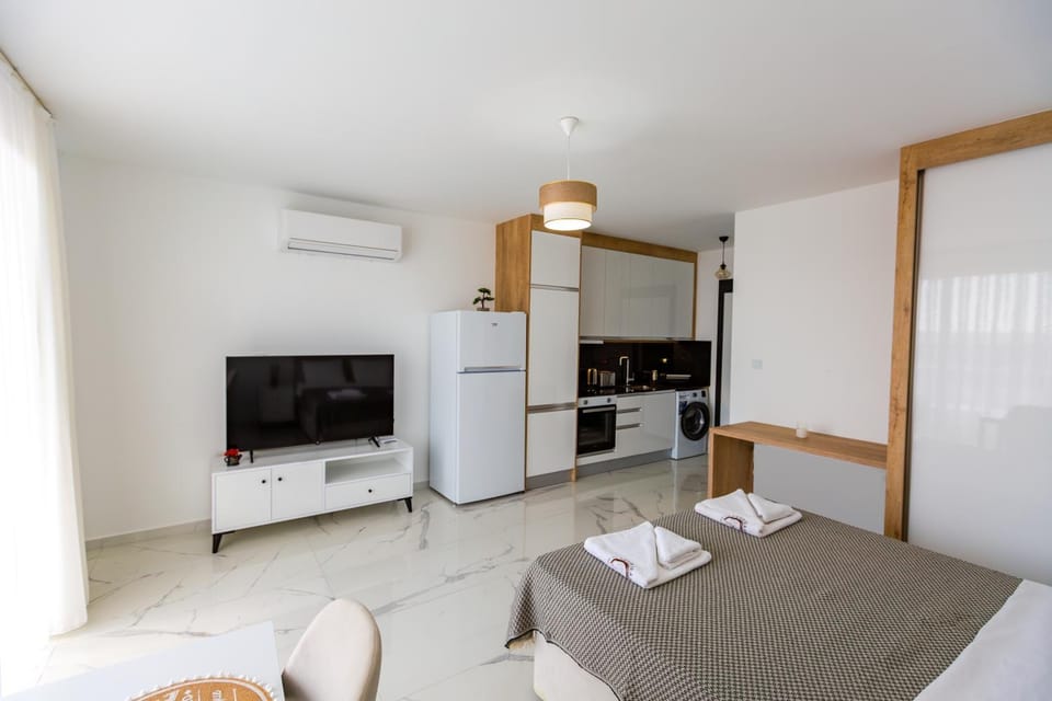 Communal lounge/ TV room, Bed, TV and multimedia, Kitchen or kitchenette, Living room, Photo of the whole room, Seating area, Dining area, Evening entertainment, Bedroom, oven, air conditioner