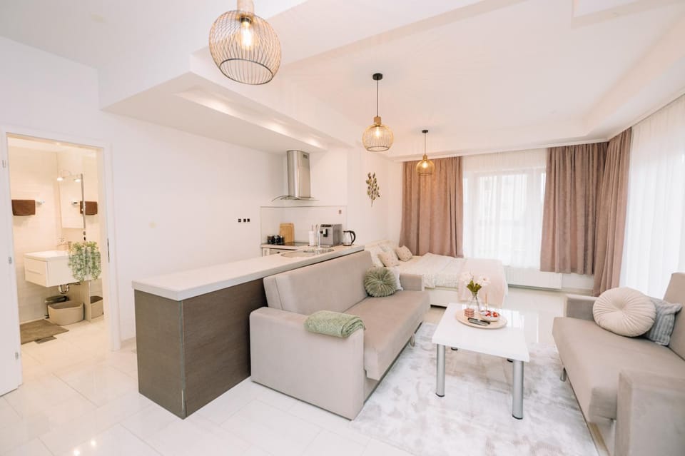 Kitchen or kitchenette, Living room, Seating area