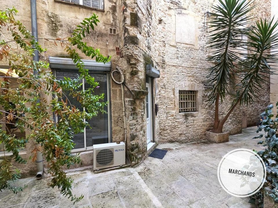 Atypique Souplex Hyper centre Ecusson - Clim - 4p Apartment in Nimes