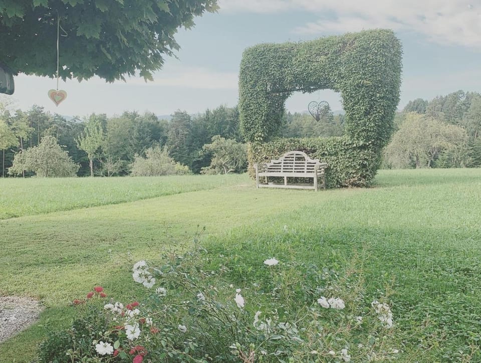 Garden view