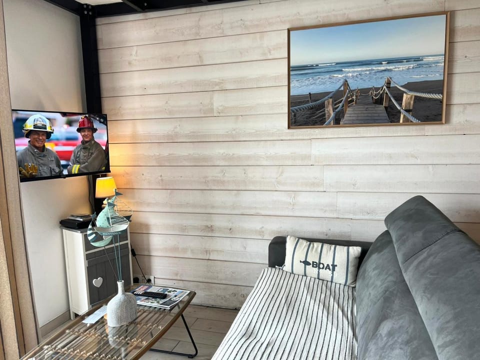 Communal lounge/ TV room, TV and multimedia