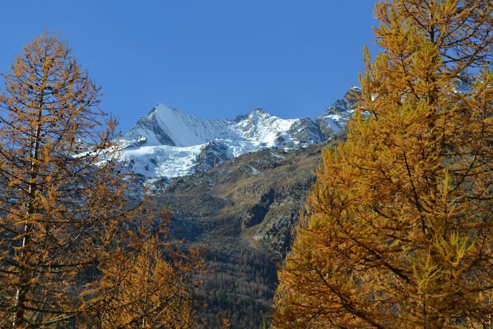 Mountain view