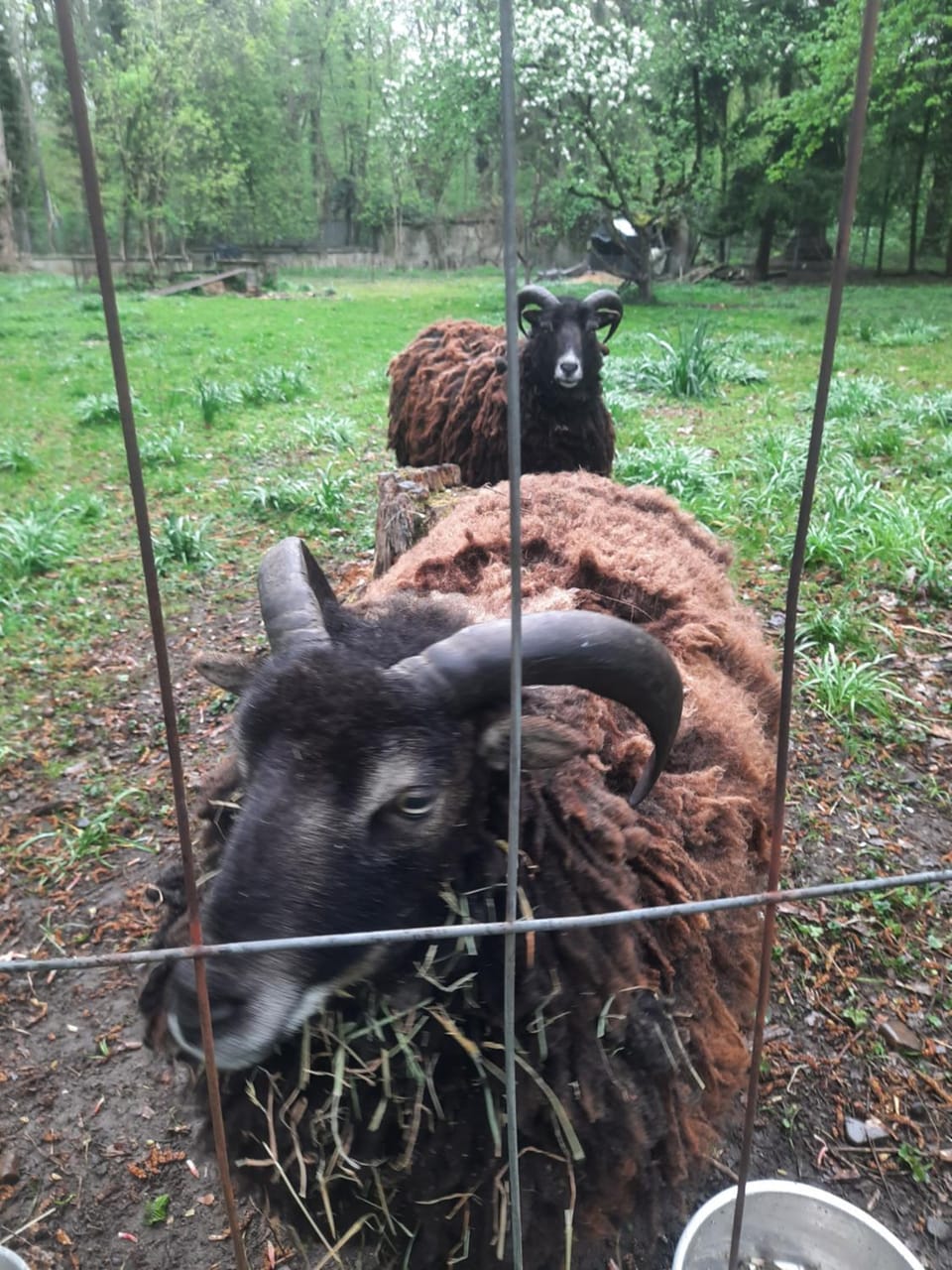 Tinyhaus am Flughafen, der DLR und ESA Campground/ 
RV Resort in Cologne