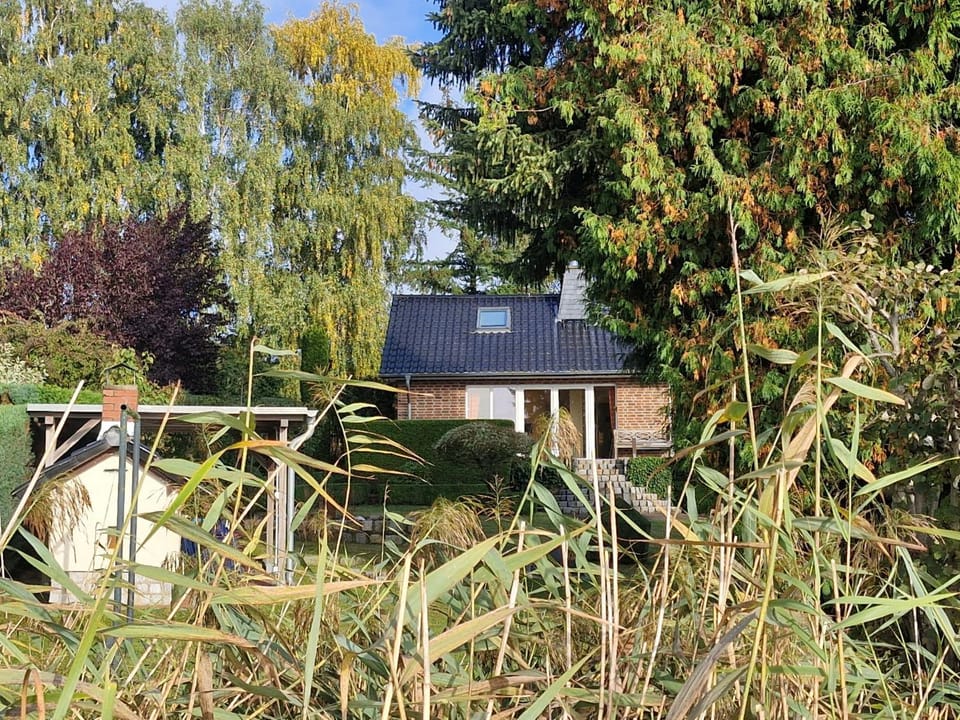 Ferienhaus direkt am See House in Mecklenburgische Seenplatte