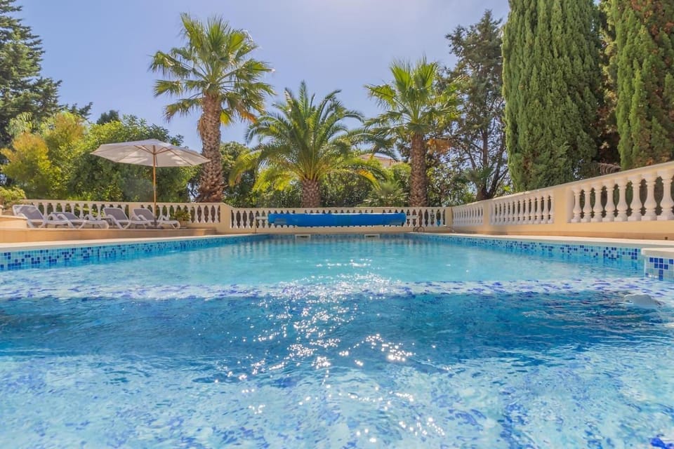 Garden, Swimming pool, sunbed