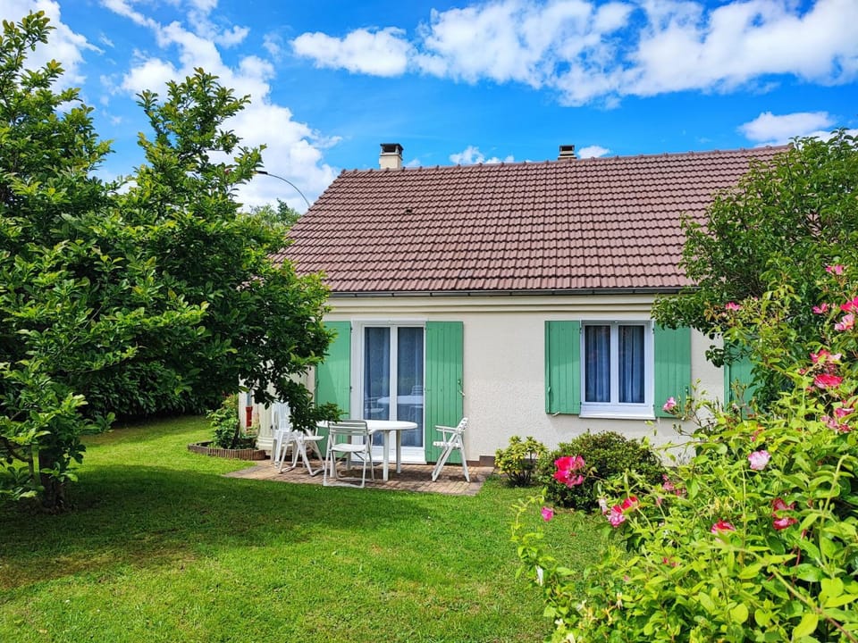 Garden, Garden view, Garden view