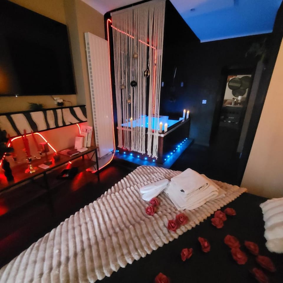 love room espace détente Apartment in Metz