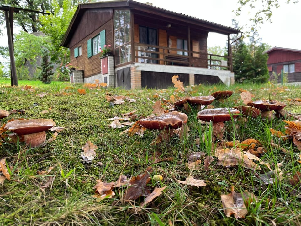 Chaty U Žabáka Nature lodge in South Bohemian Region