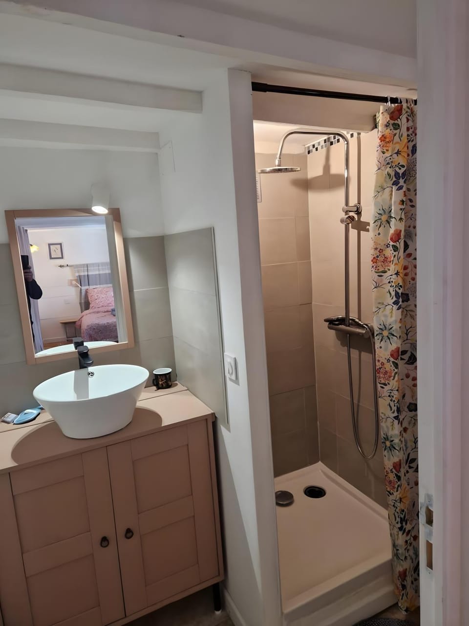 Bathroom, Living room