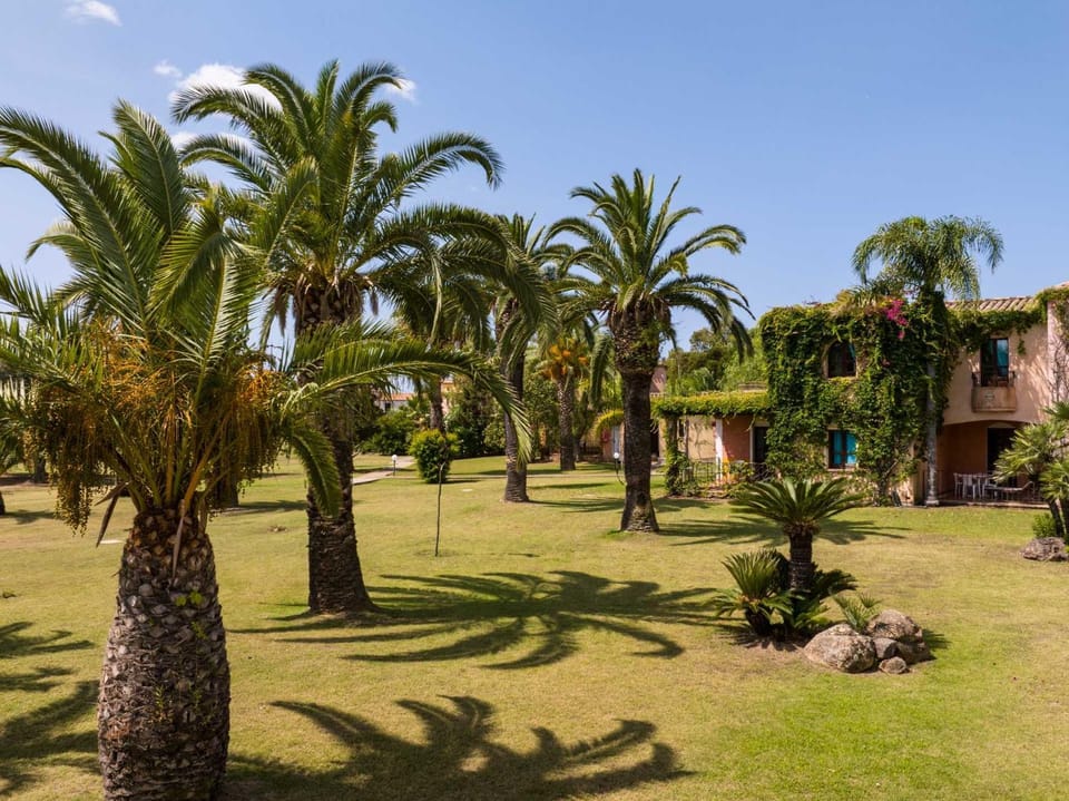 Natural landscape, Garden, Garden view