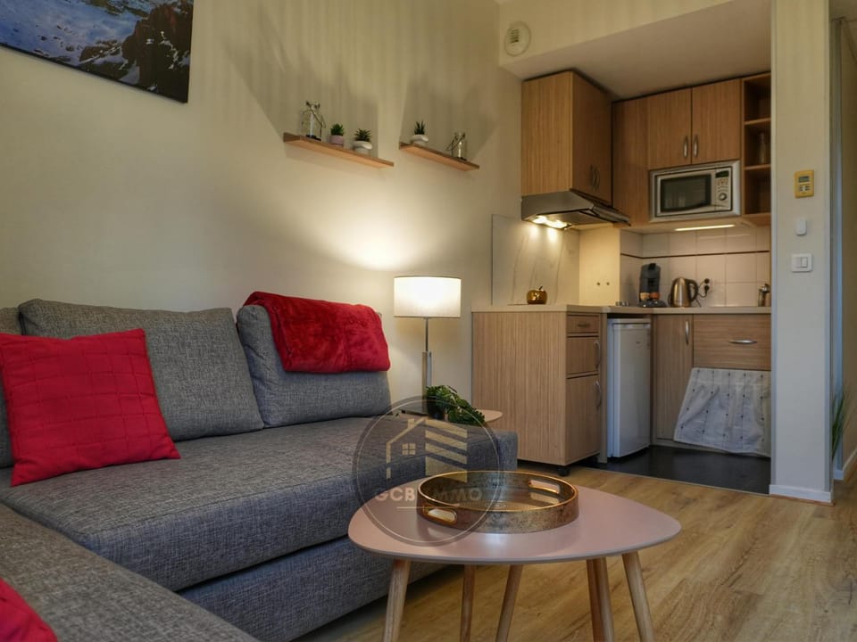 Le Berthelot T2 Climatisation Free Parking Apartment in Grenoble